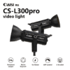 bi-color video light