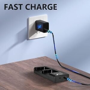 NP-F970 Battery Dual Charger